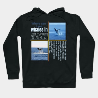 Alaska Whale Watching Hoodie